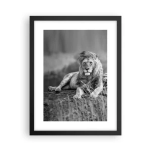 Plakat w czarnej ramie - Królewska sjesta - 30x40 cm