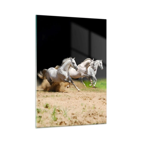 Obraz na szkle - Trzy białe konie galopujące po piaszczystym podłożu - 50x70cm - Trzy Gracje - Nowoczesna dekoracja ścienna do salonu, kuchni i sypialni ARTTOR