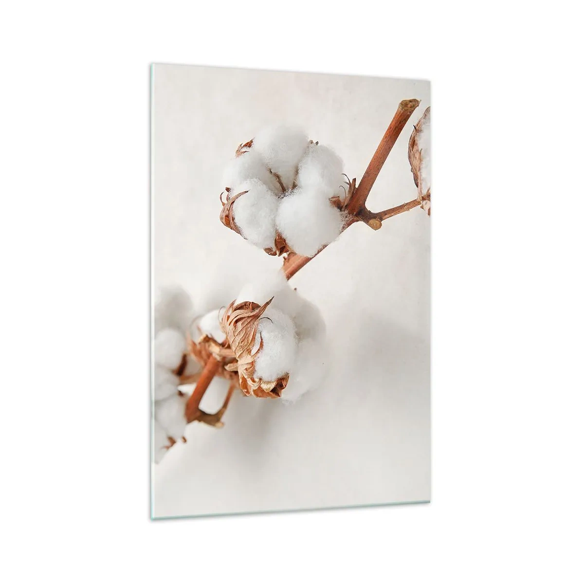 Obraz na szkle - Gałązka bawełny na subtelnym tle - 70x100cm - Tylko tulić - Nowoczesna dekoracja ścienna do salonu i sypialni ARTTOR