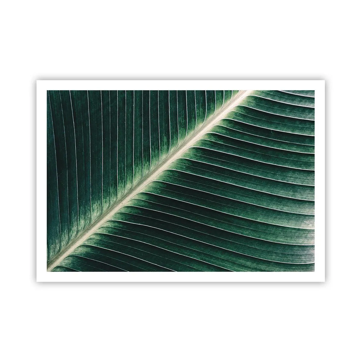 Plakat - Struktura zielonego liścia w zbliżeniu - 100x70cm - Rytm natury - Nowoczesna dekoracja ścienna do salonu i sypialni ARTTOR