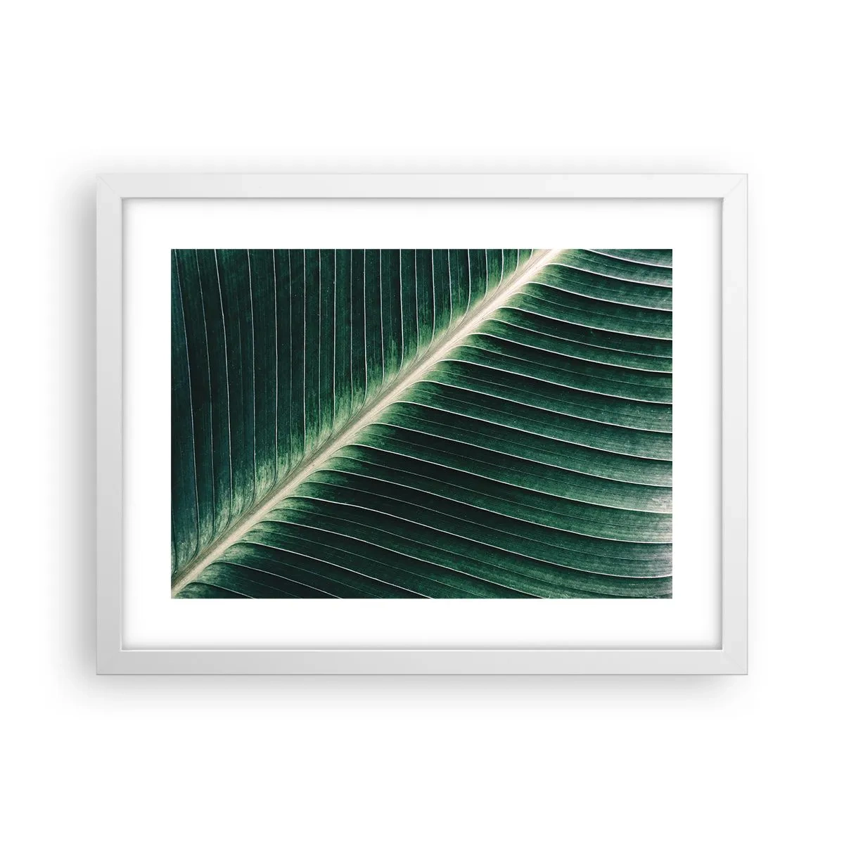 Plakat w białej ramie - Rytm natury - 40x30 cm