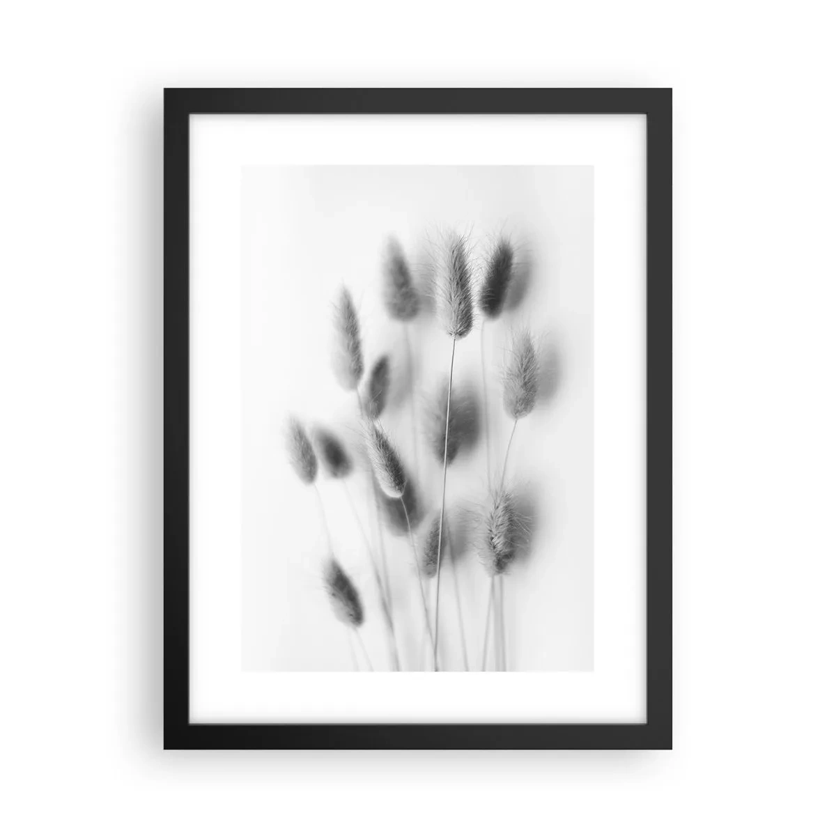 Plakat w czarnej ramie - Jej puszystość trawa - 30x40 cm