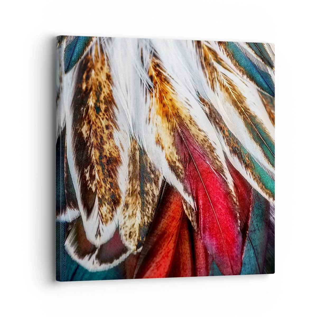 Obraz na płótnie - Tajemnice lotu - 30x30 cm