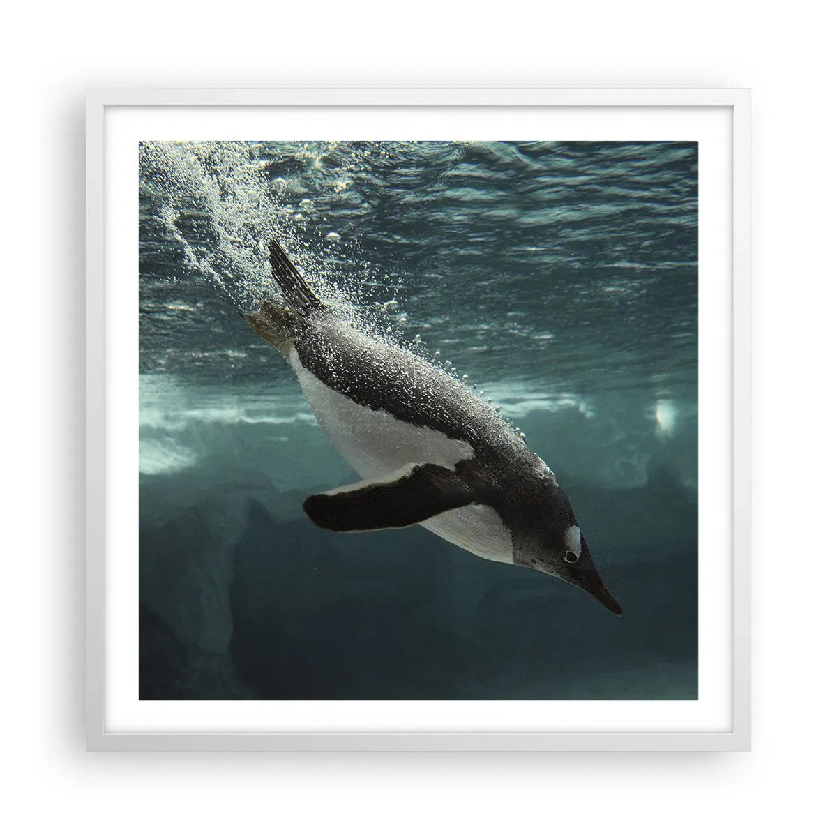 Plakat w białej ramie - Witaj w moim świecie - 60x60 cm