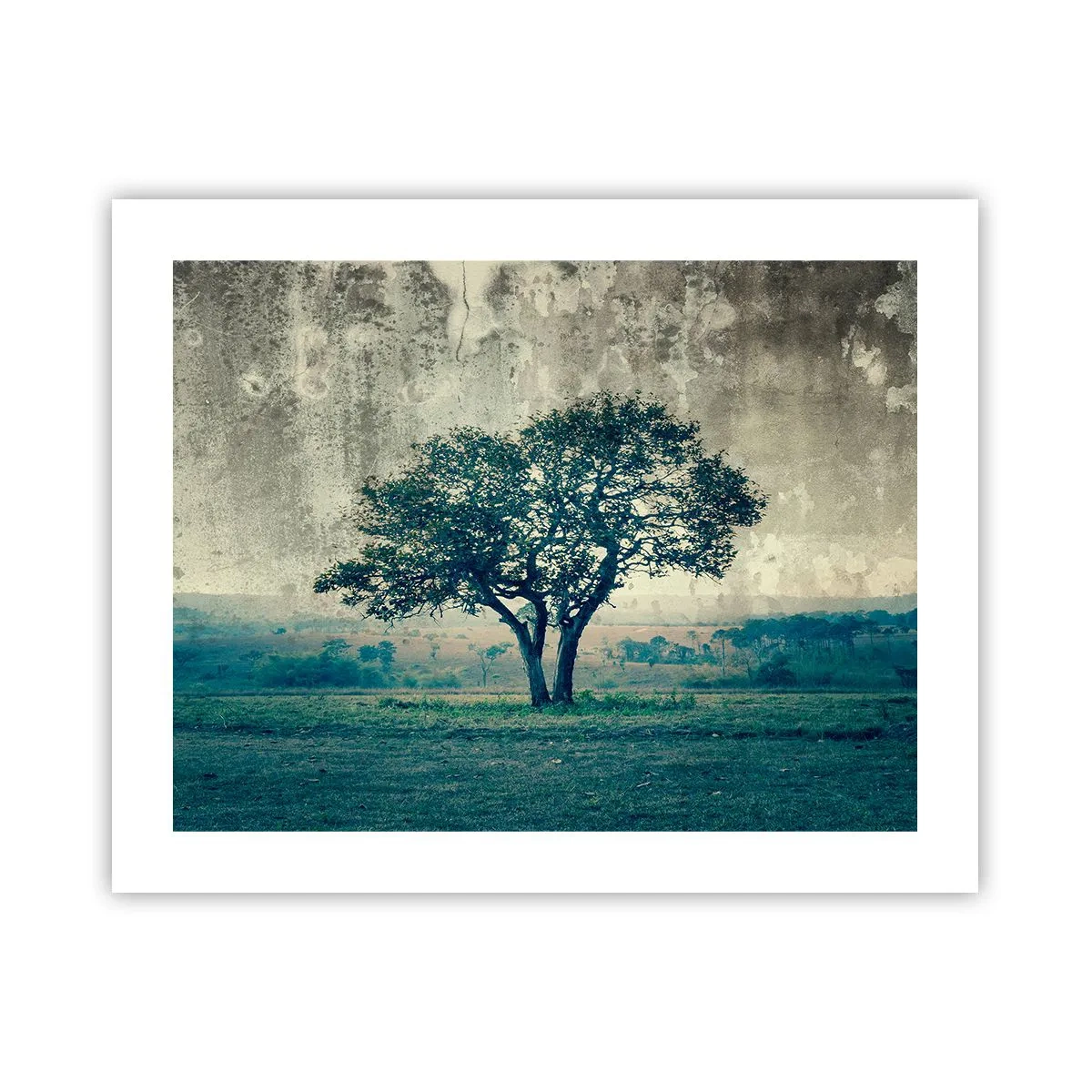 Plakat - Jabłoń na błękitnym błoniu? - 50x40 cm