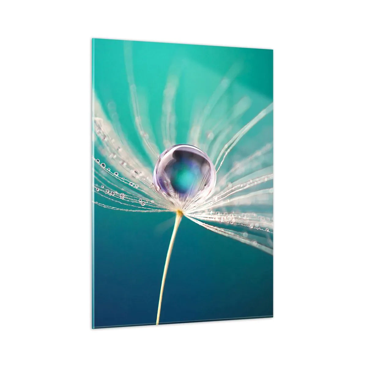 Obraz na szkle - Makrofotografia nasionka dmuchawca z kroplą rosy na turkusowym tle - 50x70cm - Mistyczna chwila - Nowoczesna dekoracja ścienna do salonu, kuchni i sypialni ARTTOR