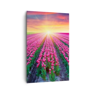 Obraz na płótnie - Pole tulipanów o zachodzie słońca - 80x120cm - Farma piękności - Nowoczesna dekoracja ścienna do salonu i sypialni ARTTOR