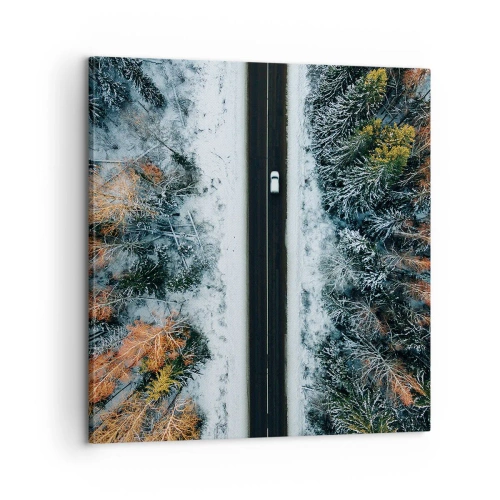 Obraz na płótnie - Przeciąć zimowy las - 60x60 cm