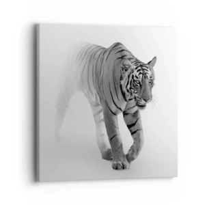 Obraz na płótnie - Przyczajony we mgle - 40x40 cm