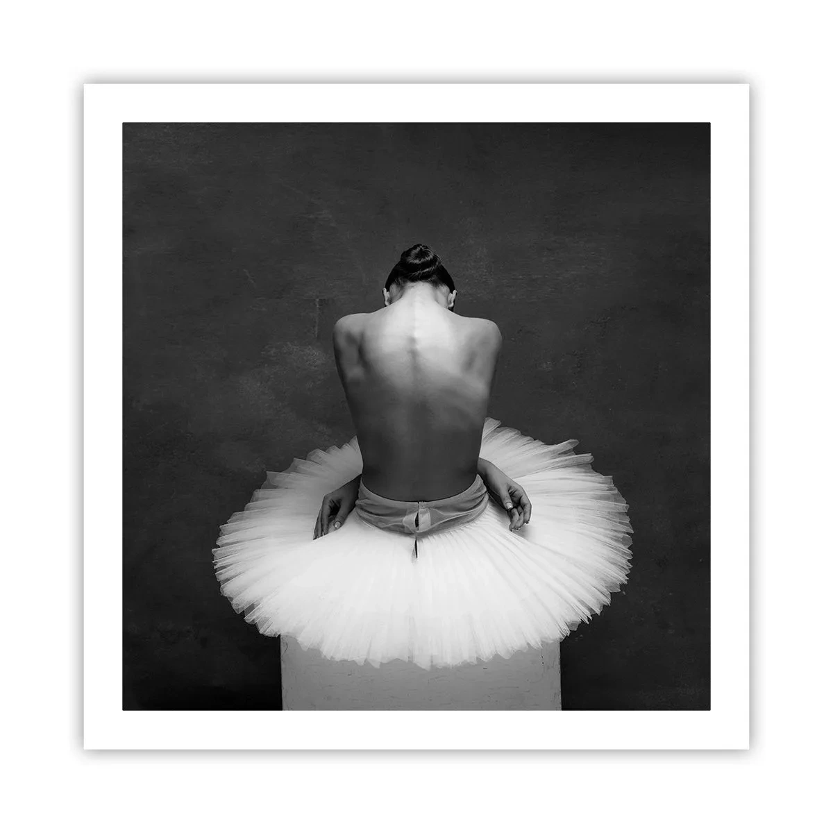 Plakat - Właśnie rozkwita - 60x60 cm