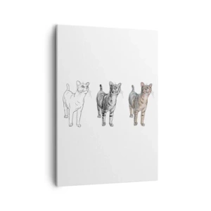 Obraz na płótnie - Ewolucja rysunku kota w trzech etapach - 50x70cm - Lekcja rysunku - Nowoczesna dekoracja ścienna do salonu, kuchni i sypialni ARTTOR