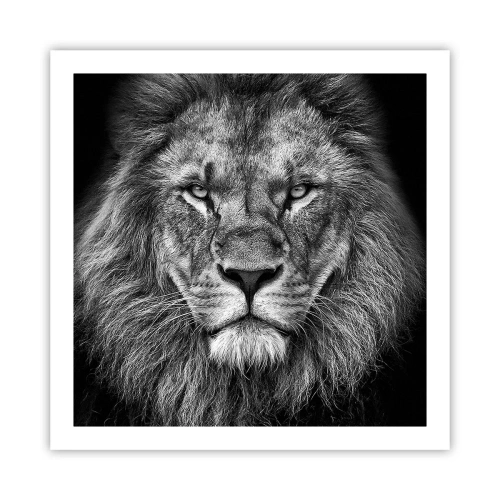 Plakat - W stroju koronacyjnym - 60x60 cm