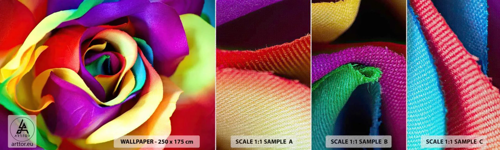 Fototapeta Próbka Premium Canvas - To niemożliwe - Abstrakcja, Kwiat, Kolorowa Róża - 100x30 cm