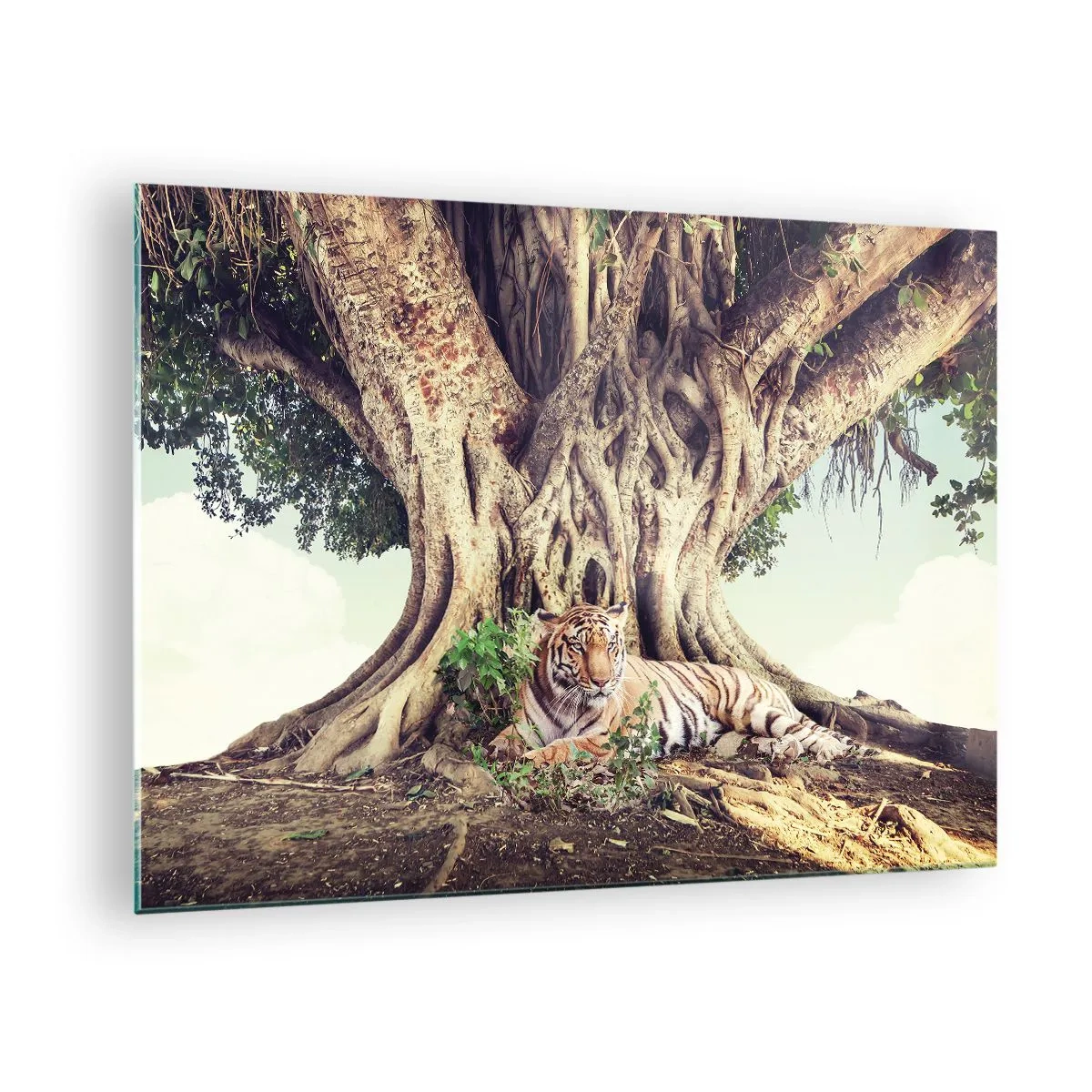 Obraz na szkle - Tygrys leżący pod rozłożystym drzewem w dżungli - 70x50cm - Widok z Księgi Rodzaju - Nowoczesna dekoracja ścienna do salonu i sypialni ARTTOR