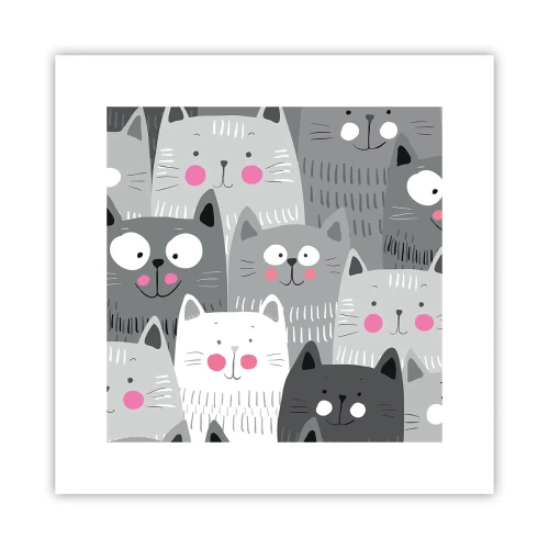 Plakat - Koci świat - 30x30 cm