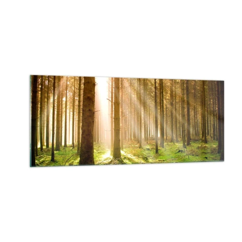 Obraz na szkle - Zaraz pojawią się elfy - 100x40 cm