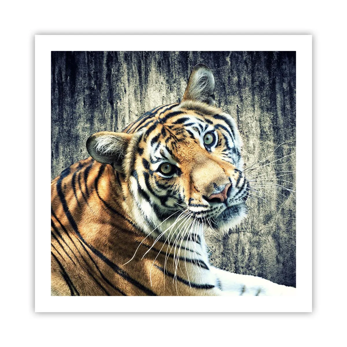 Plakat - Portret w strugach światła - 60x60 cm