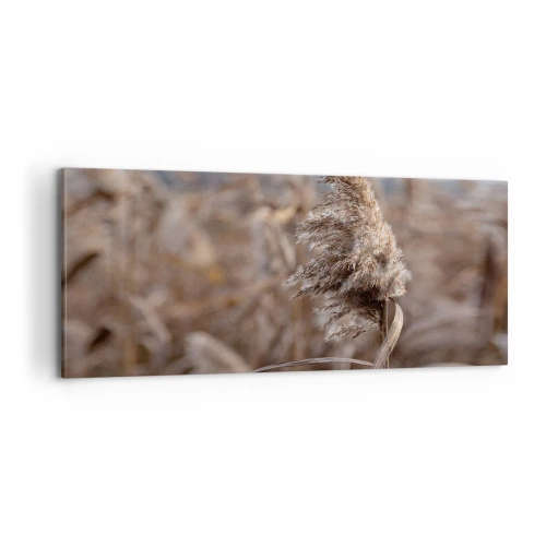 Obraz na płótnie - Czas odlecieć z wiatrem - 100x40 cm