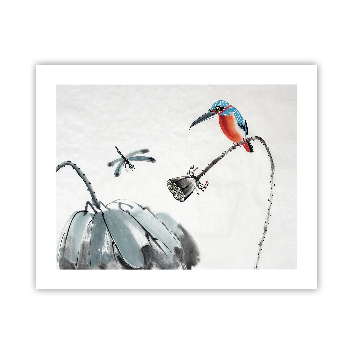 Plakat - Życie łąki - 50x40 cm
