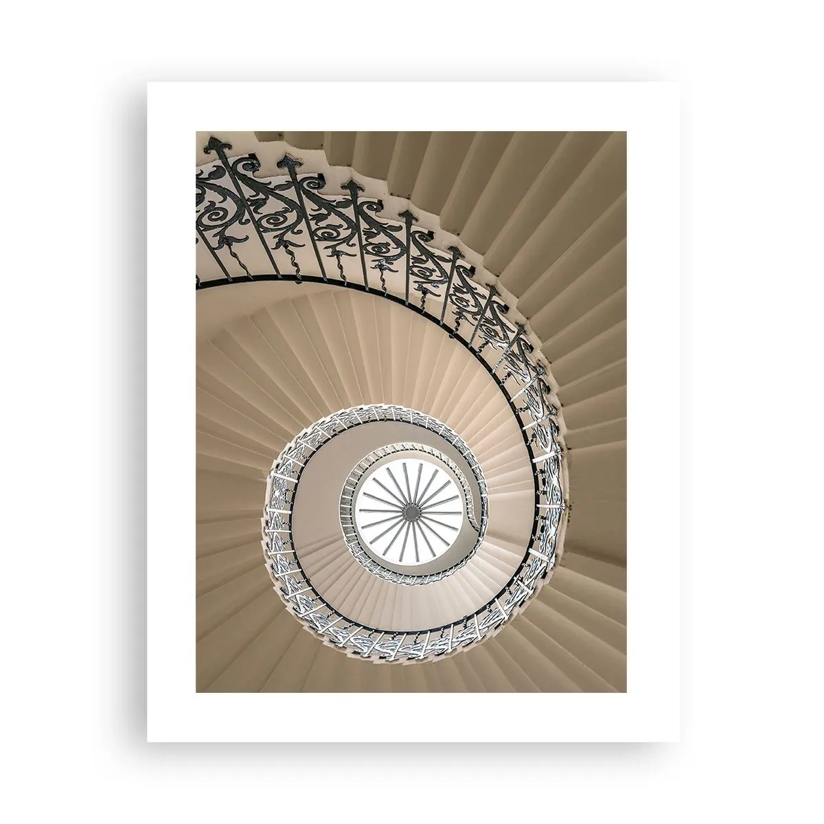 Plakat - W środku muszli - 40x50 cm