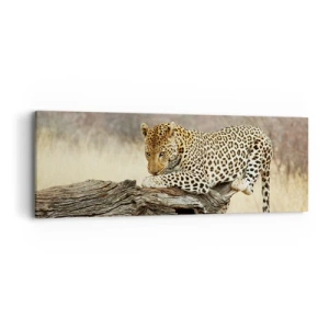 Obraz na płótnie - Chadzam własnymi drogami - 90x30 cm