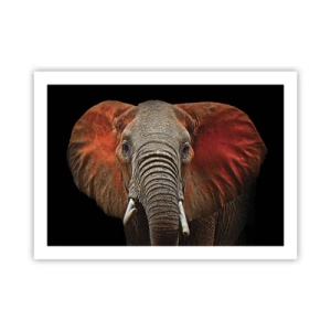 Plakat - Jestem dziki, a ty? - 70x50 cm