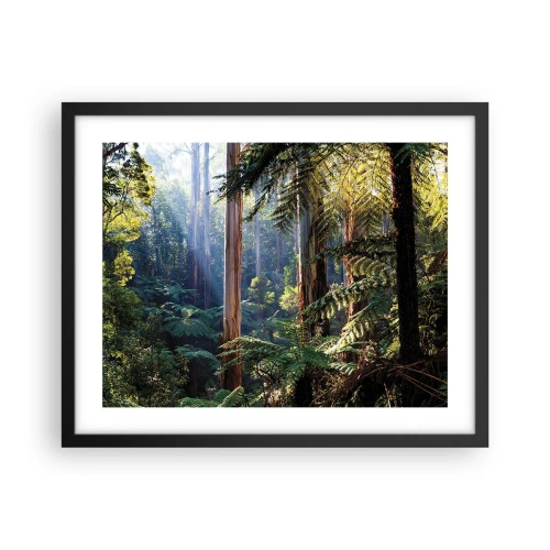 Plakat w czarnej ramie - Baśń lasu - 50x40 cm