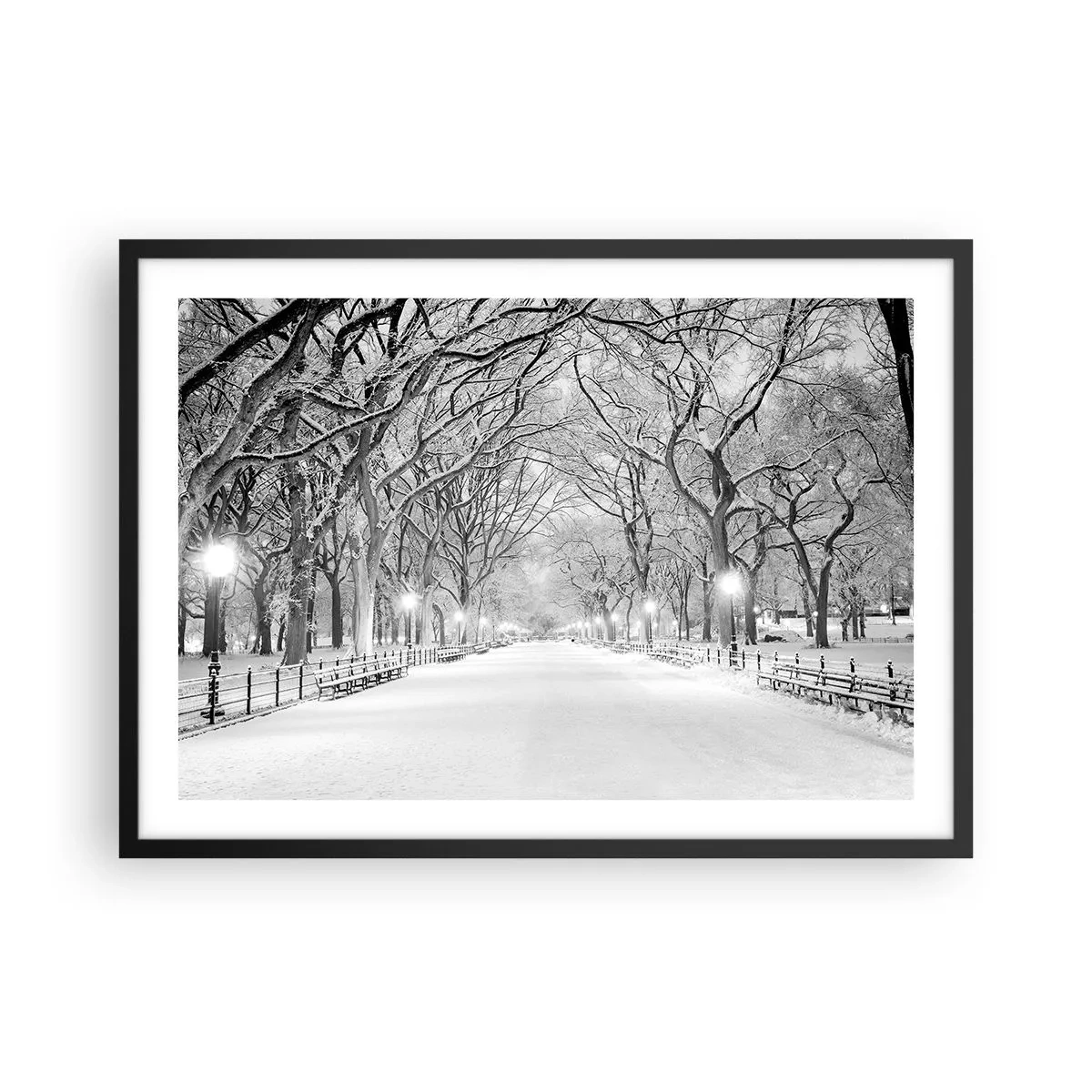 Plakat w czarnej ramie - Zimowa alejka z drzewami pokrytymi śniegiem w monochromatycznym ujęciu - 70x50cm - Cztery pory roku – zima - Nowoczesna dekoracja ścienna do salonu i sypialni ARTTOR
