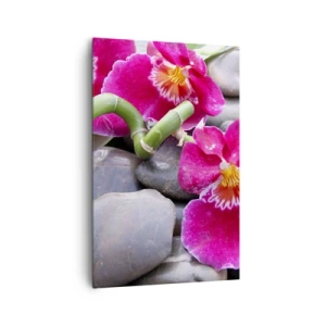 Obraz na płótnie - Różowe orchidee na tle gładkich kamieni - 80x120cm - Chłód i żar - Nowoczesna dekoracja ścienna do salonu i sypialni ARTTOR