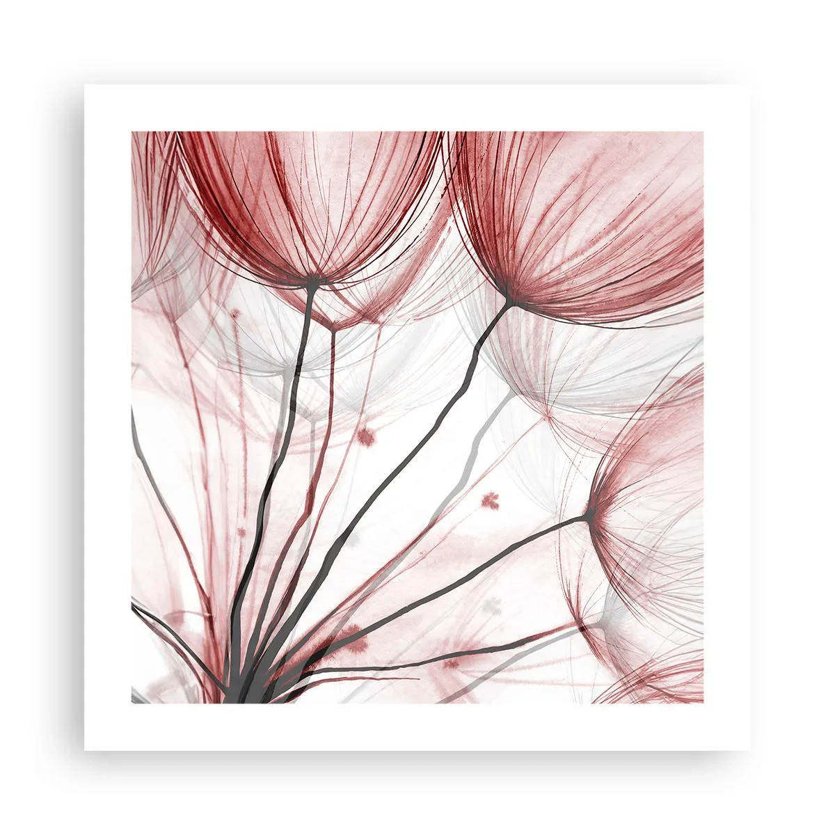 Plakat - Przed odlotem - 50x50 cm