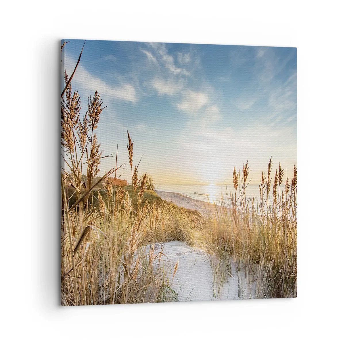 Obraz na płótnie - Północna plaża - 60x60 cm