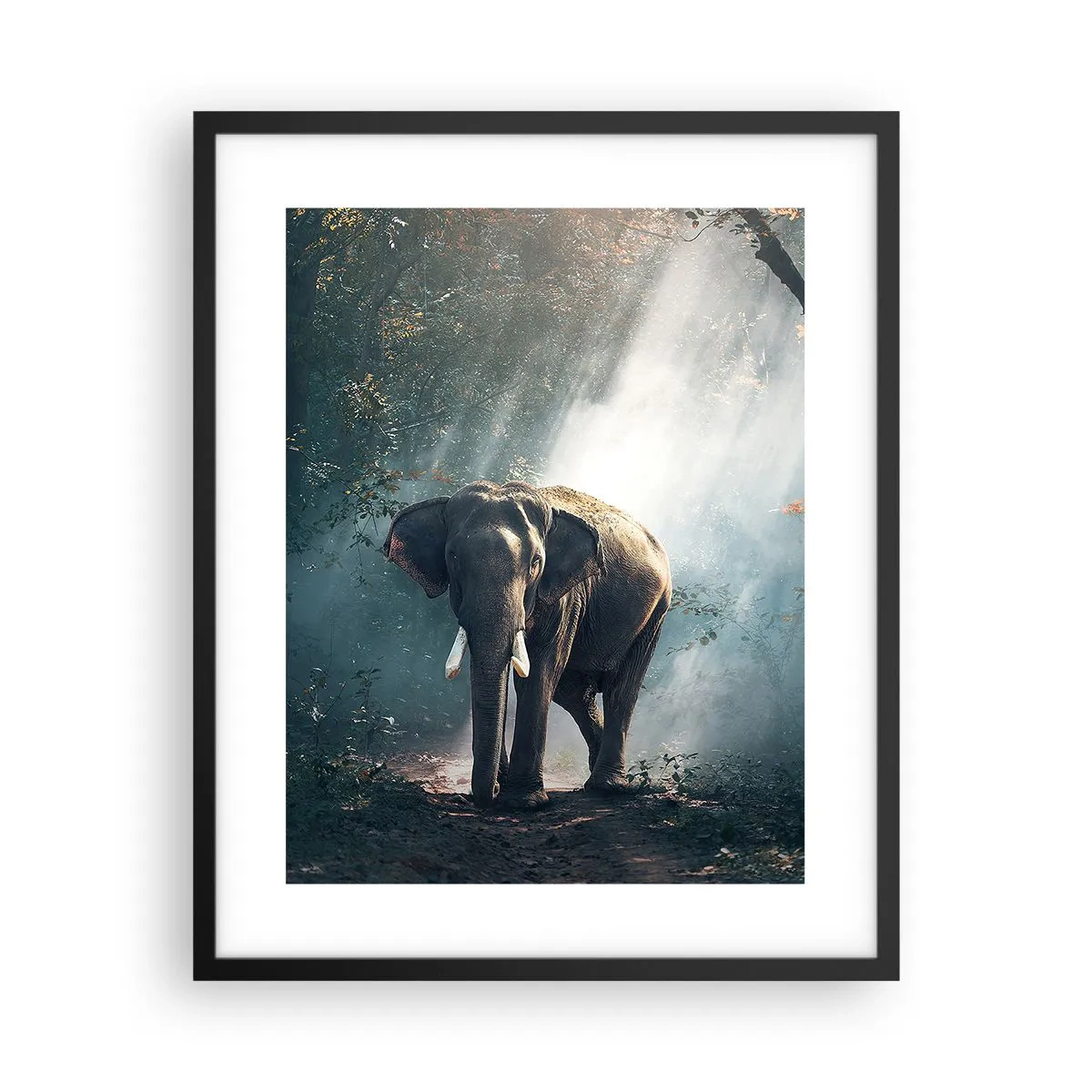 Plakat w czarnej ramie - Spokojna przechadzka - 40x50 cm