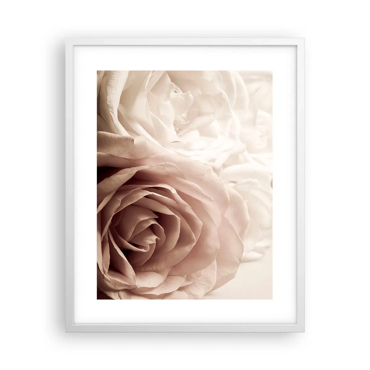 Plakat w białej ramie - W sercu róży - 40x50 cm