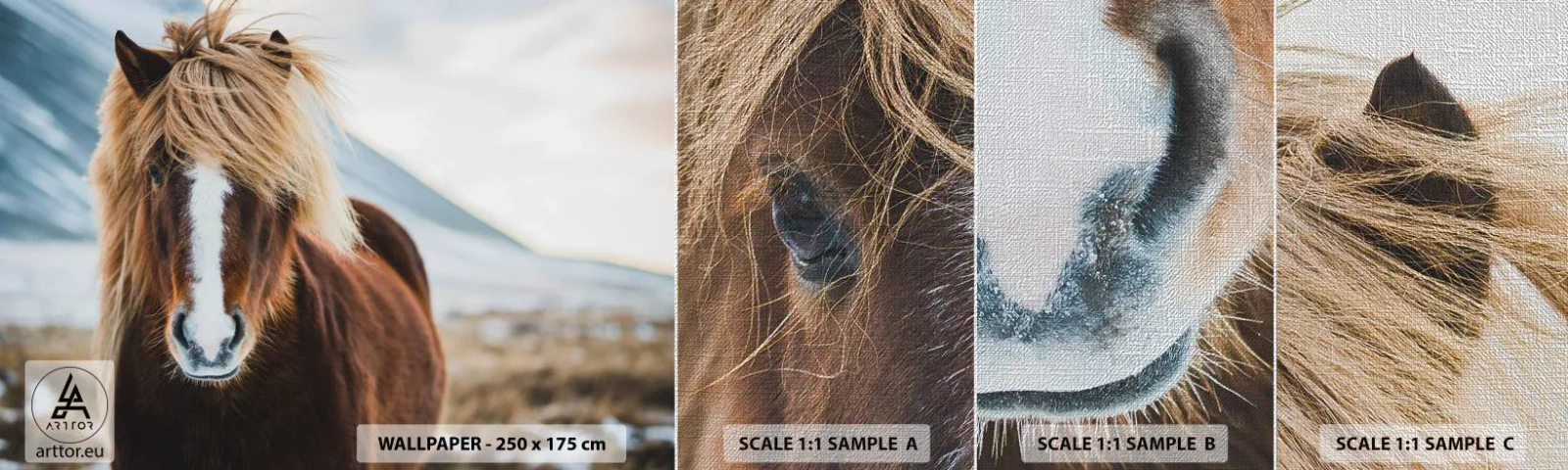 Fototapeta Próbka Premium Canvas - Czujesz wolność? - Koń, Natura, Zwierzęta - 100x30 cm