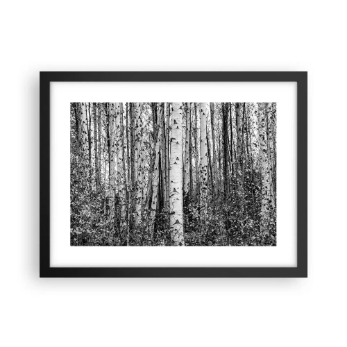 Plakat w czarnej ramie - Brzozowa kolumnada - 40x30 cm