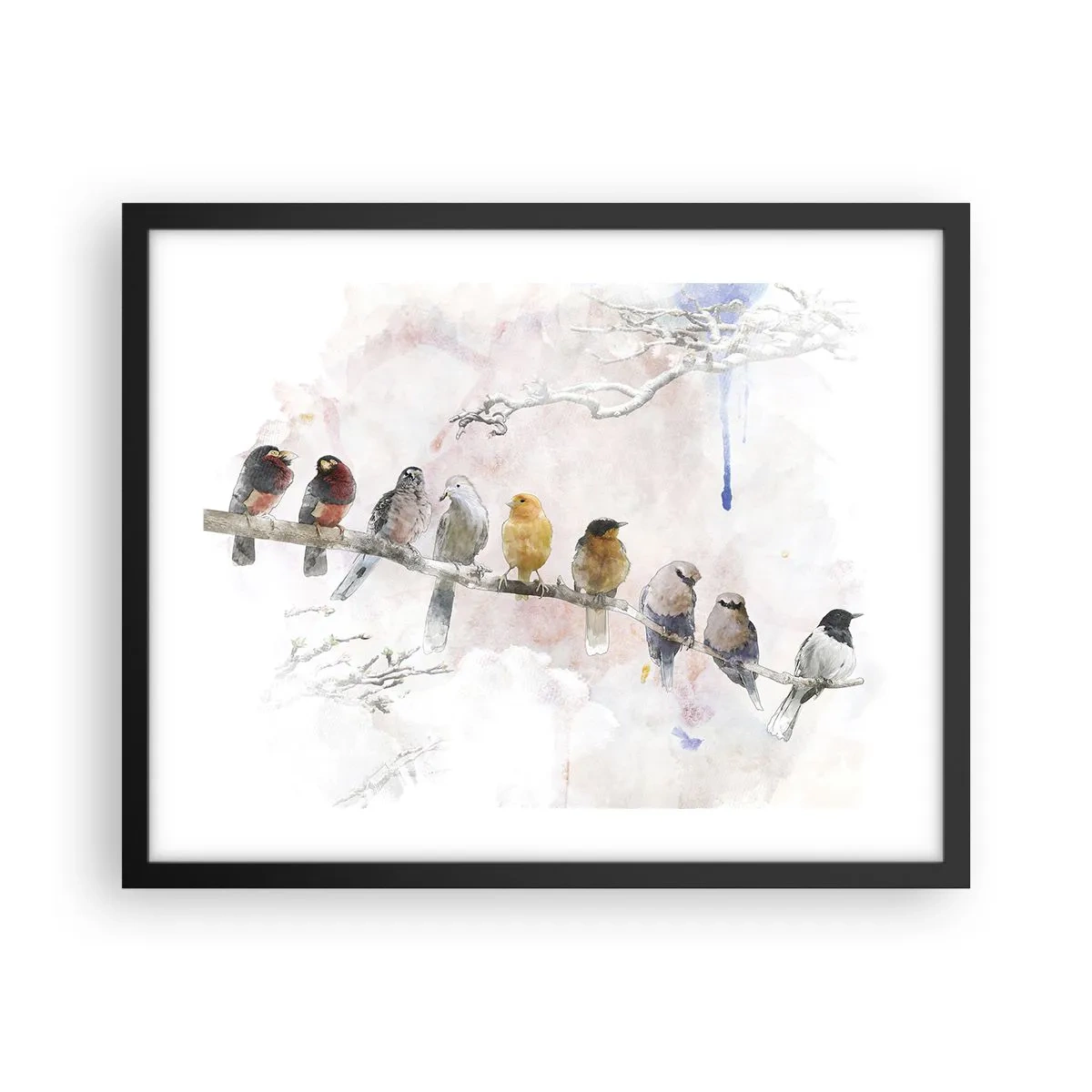 Plakat w czarnej ramie - Skrzydlate spotkanie - 50x40 cm