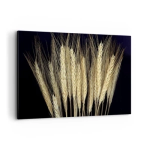 Obraz na płótnie - Kłosy pszenicy na czarnym tle w rustykalnym stylu - 120x80cm - Rustykalna magia - Nowoczesna dekoracja ścienna do salonu, kuchni i sypialni ARTTOR