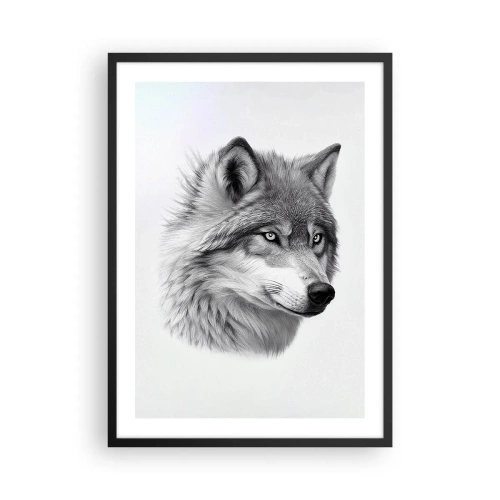 Plakat w czarnej ramie - Realistyczny portret wilka w odcieniach szarości - 50x70cm - Alfa – bez wątpienia - Nowoczesna dekoracja ścienna do salonu i sypialni ARTTOR