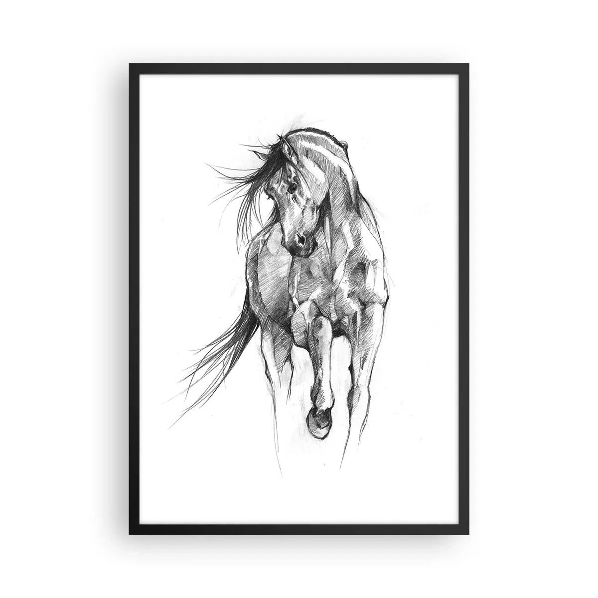 Plakat w czarnej ramie - Szkic konia w dynamicznej pozie - 50x70cm - We wdzięcznym kłusie - Nowoczesna dekoracja ścienna do salonu i sypialni ARTTOR