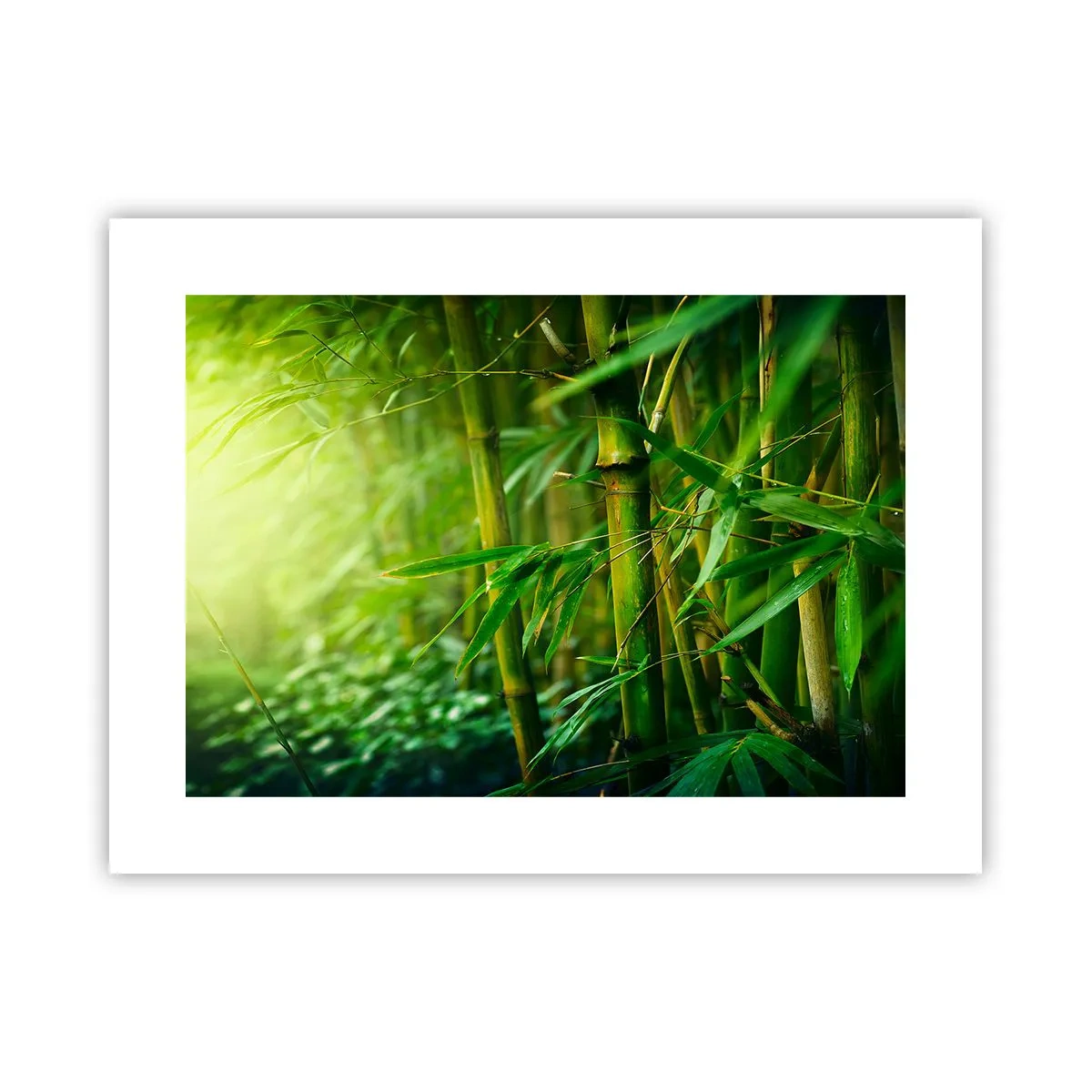 Plakat - Poznać zieleń samą w sobie - 40x30 cm