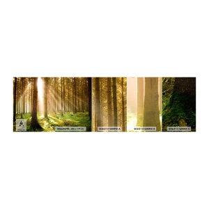 Fototapeta Próbka Samoprzylepna Deluxe Sticker - Zaraz pojawią się elfy - Las, Promienie Słońca, Natura - 100x30 cm
