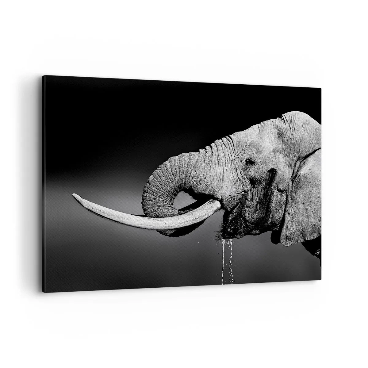 Obraz na płótnie - Czarno-biały portret słonia z profilu - 100x70cm - Tak, teraz dobrze - Nowoczesna dekoracja ścienna do salonu, kuchni i sypialni ARTTOR