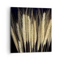 70x70 cm | Kwadratowy