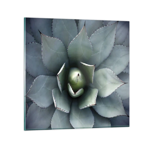 Obraz na szkle - Wabi i przestrzega - 70x70 cm