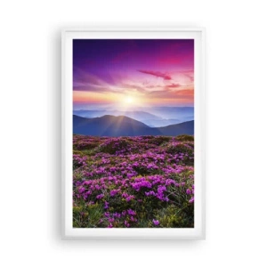 Plakat w białej ramie - Ziół zapachniały świeże pęki od niw - 61x91 cm