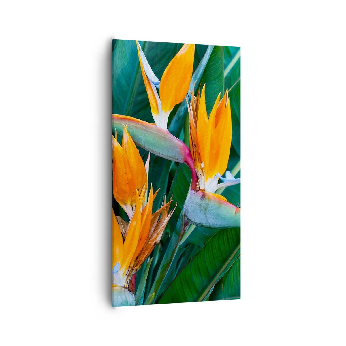 Obraz na płótnie - Czy to kwiat, czy to ptak? - 65x120 cm