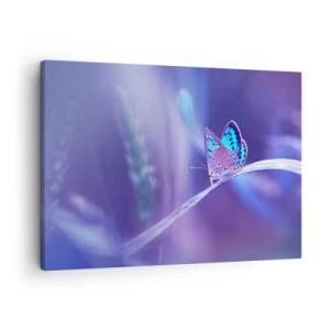 Obraz na płótnie - Delikatny niebieski motyl na łodydze w świetle fioletowym - 70x50cm - Klejnot natury - Nowoczesna dekoracja ścienna do salonu i sypialni ARTTOR