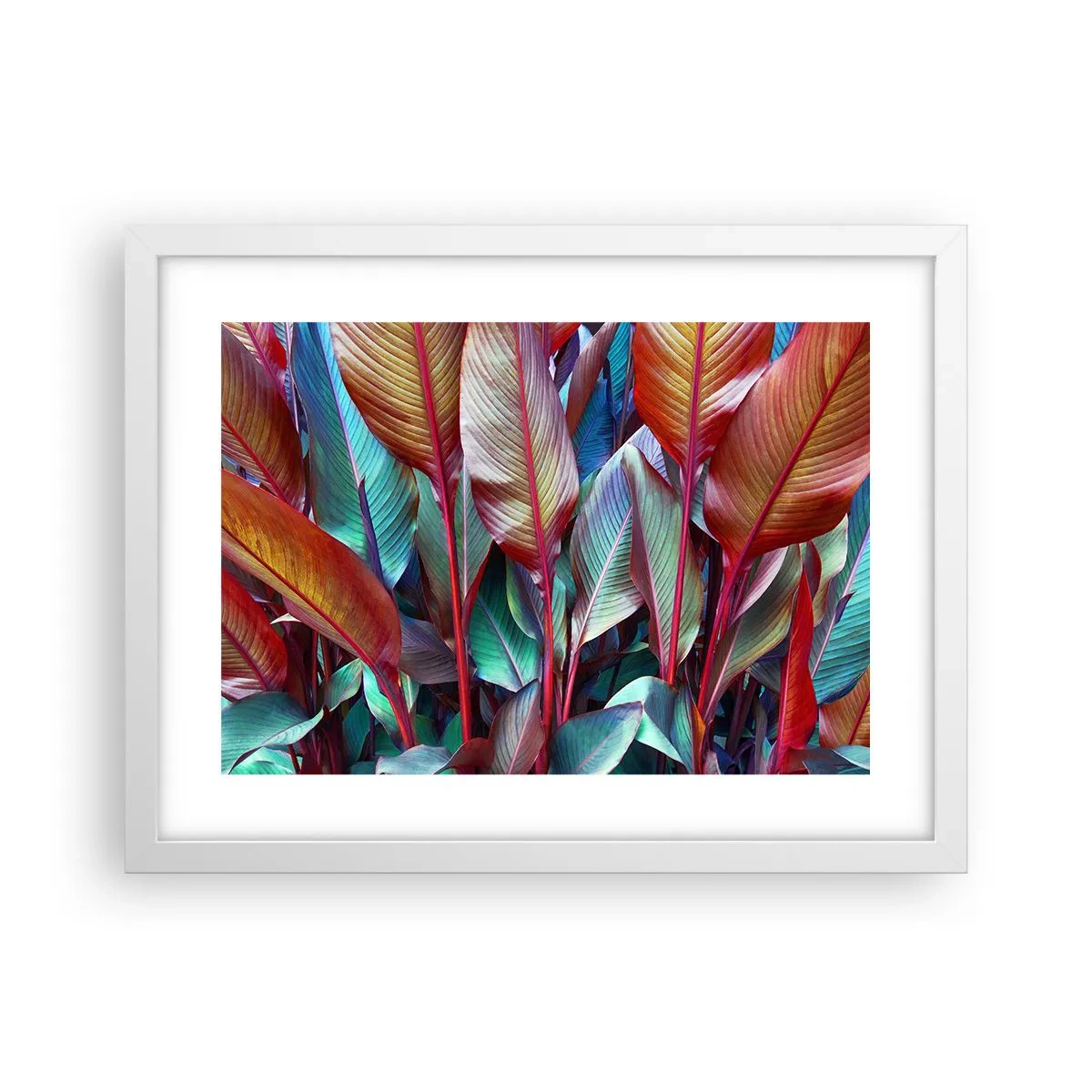 Plakat w białej ramie - Kolorowy gąszcz - 40x30 cm