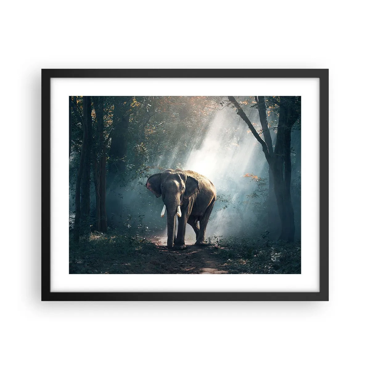 Plakat w czarnej ramie - Spokojna przechadzka - 50x40 cm