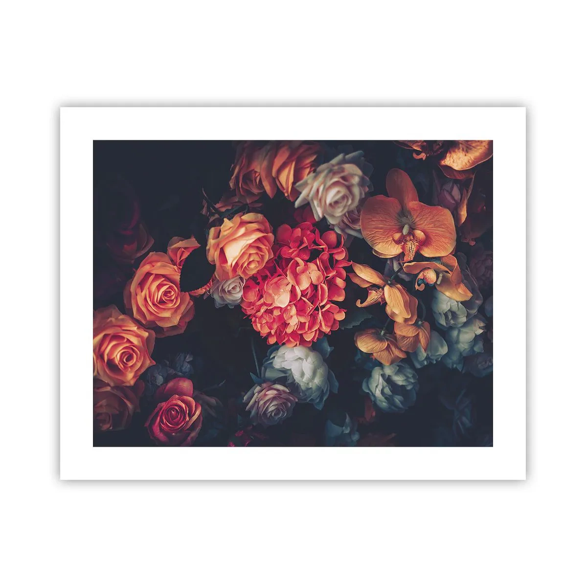 Plakat - Jak u holenderskich mistrzów - 50x40 cm